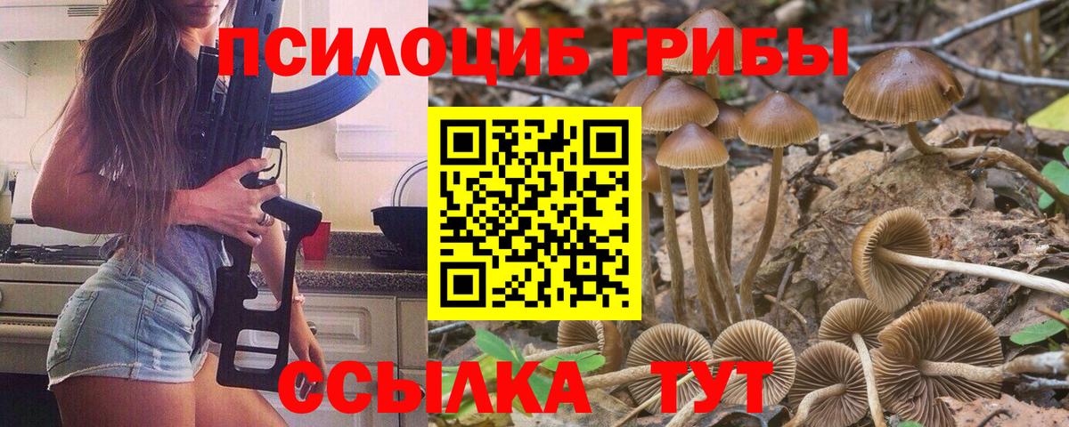 Псилоцибиновые грибы Magic Shrooms  Псилоцибиновые грибы Cubensis  Миллерово  Вход с VPN 